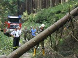 Vorschaubild: KHD: Jahrhundertflut 2002 im Waldviertel