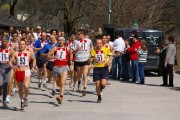 Vorschaubild: Payerbacher Frühlingslauf 2006