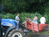 Vorschaubild zu - FJ Lagerabbau in Aspang, 11.07.2006