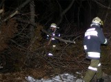 Vorschaubild zu - Sturmschäden in Küb am 27.01.2007, 1. Einsatz