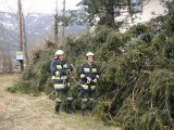 Vorschaubild: Sturmschaden beim Feuerwehrhaus, 2.2.2007