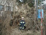 Vorschaubild: Sturmschaden beim Feuerwehrhaus, 2.2.2007