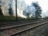 Vorschaubild zu - Brandsicherheitswache beim Brandstreifen legen am Eichberg (14.04.2007)