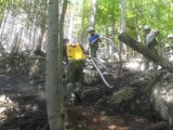 Vorschaubild: Waldbrand in Kaiserbrunn mit Flugdienst, 12. Juli 2010