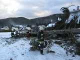 Vorschaubild: Sturmschaden in Schmidsdorf, 7.12.2013