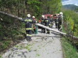Vorschaubild zu - Sturmschaden in Pettenbach