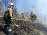 Vorschaubild: Brandstreifen abheizen an der Südbahn