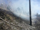 Vorschaubild: Brandstreifen abheizen an der Südbahn