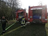 Vorschaubild: Brandstreifen abheizen an der Südbahn