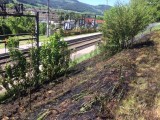 Vorschaubild zu - Bahndammbrand am Bahnhof Schlöglmühl