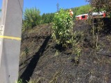 Vorschaubild zu - Bahndammbrand am Bahnhof Schlöglmühl