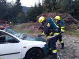 Vorschaubild: Fahrzeugbrand mit Menschenrettung