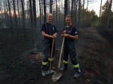 Vorschaubild zu - Föhrenwaldbrand