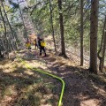 Vorschaubild zu - Waldbrandeinsatz