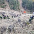 Vorschaubild zu - Waldbrandeinsatz