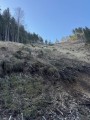 Vorschaubild zu - Waldbrandeinsatz