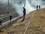 Vorschaubild zu - Brandstreifen am Eichberg 2025